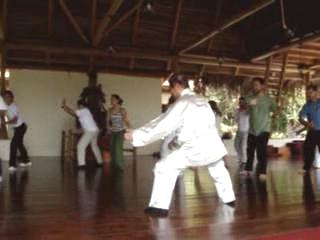 Wahnam Taijiquan