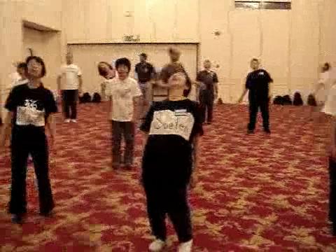 Wahnam Taijiquan