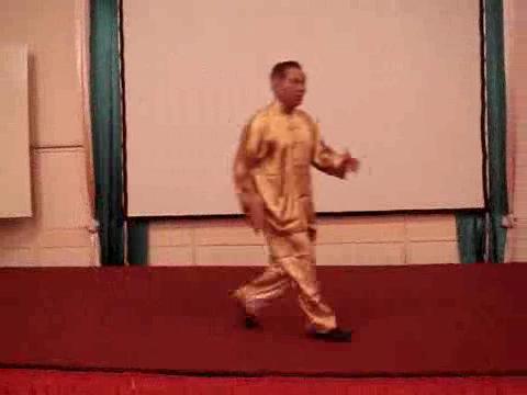 Wahnam Taijiquan