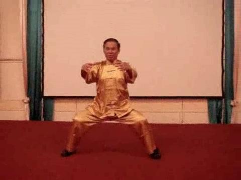 Wahnam Taijiquan