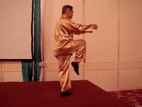 Wahnam Taijiquan