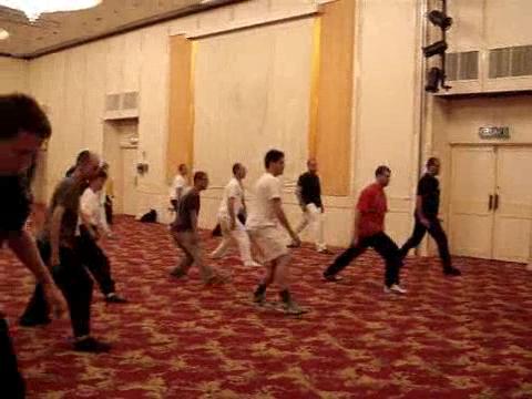 Wahnam Taijiquan