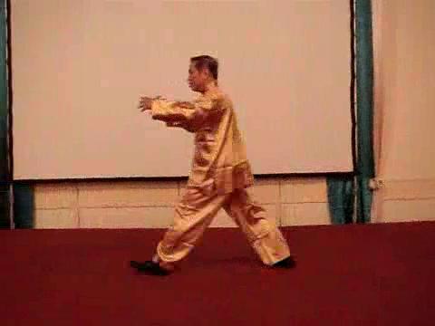 Wahnam Taijiquan