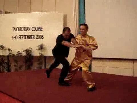 Wahnam Taijiquan