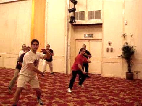 Wahnam Taijiquan