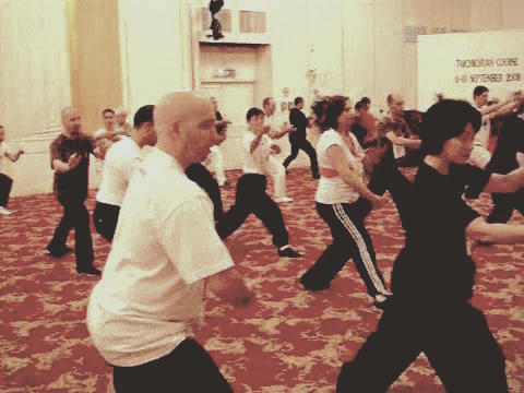 Wahnam Taijiquan