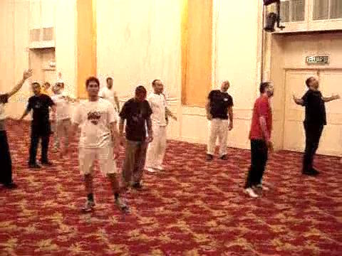 Wahnam Taijiquan