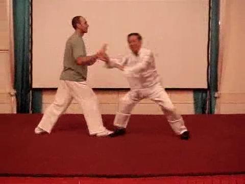 Wahnam Taijiquan