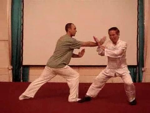 Wahnam Taijiquan, Tai Chi Chuan