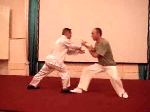 Wahnam Taijiquan