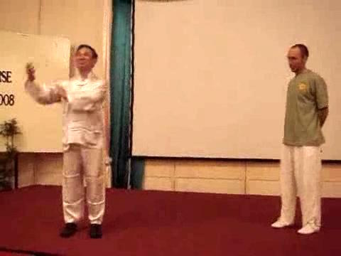 Wahnam Taijiquan