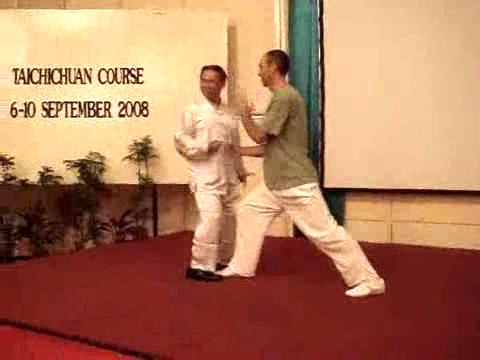 Wahnam Taijiquan