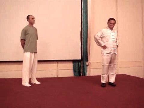 Wahnam Taijiquan