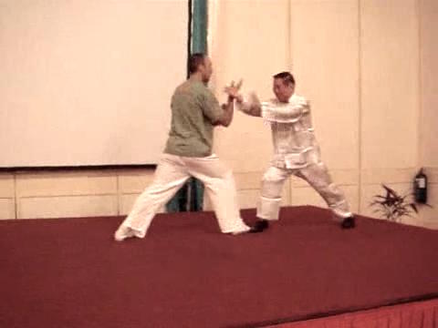 Wahnam Taijiquan