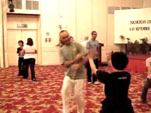 Wahnam Taijiquan