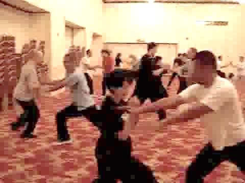 Wahnam Taijiquan, Tai Chi Chuan