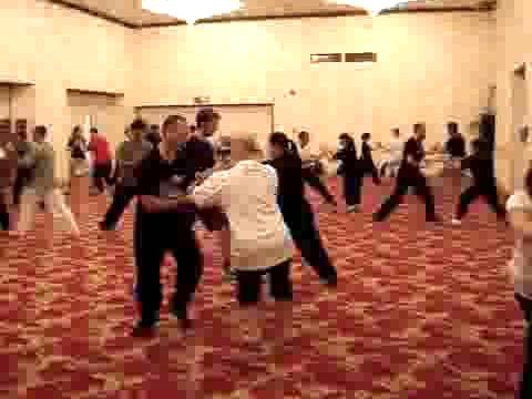 Wahnam Taijiquan