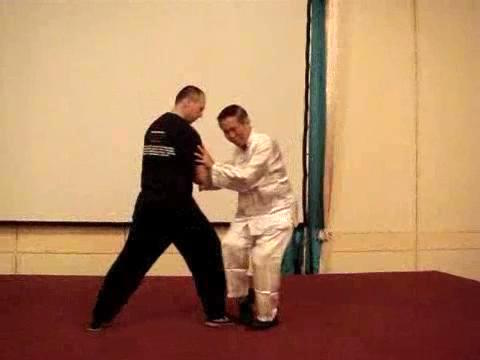 Wahnam Taijiquan