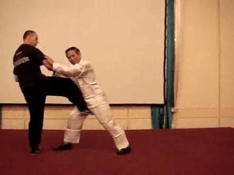 Wahnam Taijiquan, Tai Chi Chuan