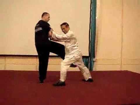 Wahnam Taijiquan