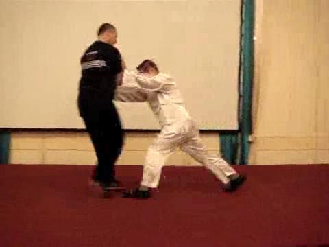 Wahnam Taijiquan