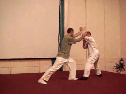 Wahnam Taijiquan