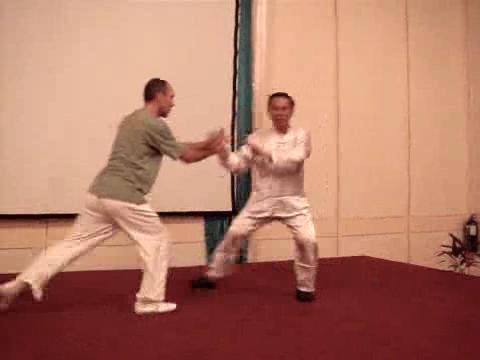 Wahnam Taijiquan