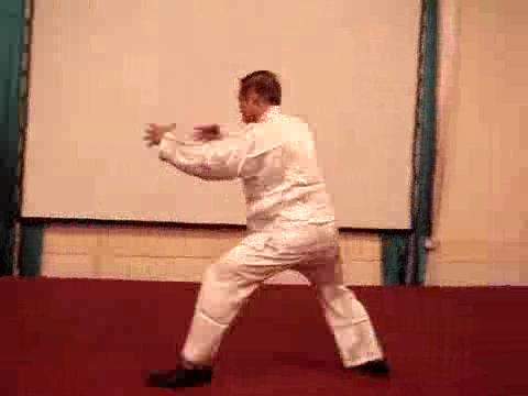 Wahnam Taijiquan