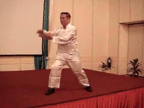 Wahnam Taijiquan