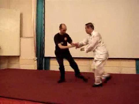 Wahnam Taijiquan