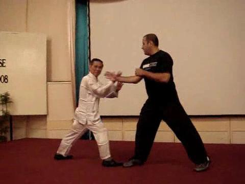 Wahnam Taijiquan, Tai Chi Chuan