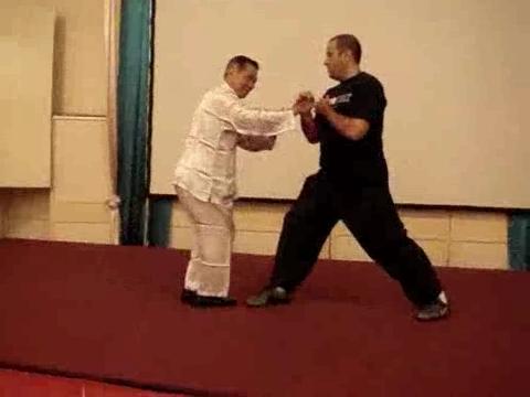 Wahnam Taijiquan