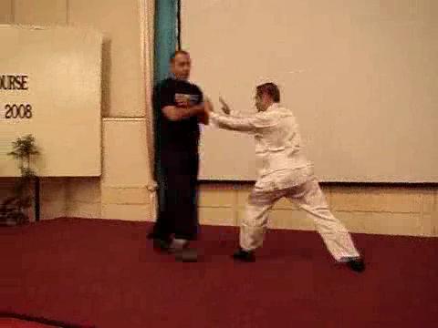 Wahnam Taijiquan