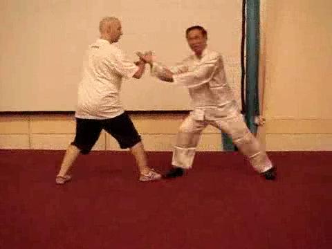 Wahnam Taijiquan