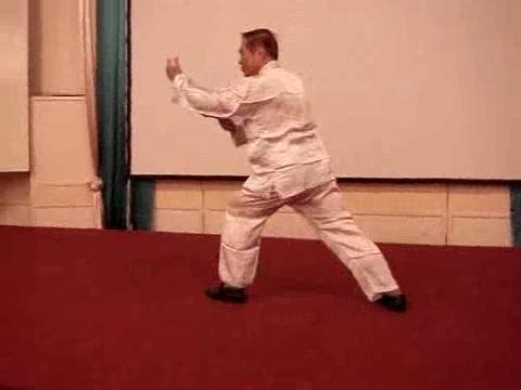 Wahnam Taijiquan