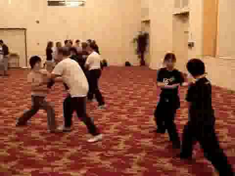 Wahnam Taijiquan