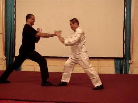 Wahnam Taijiquan