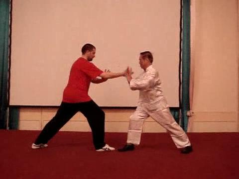 Wahnam Taijiquan