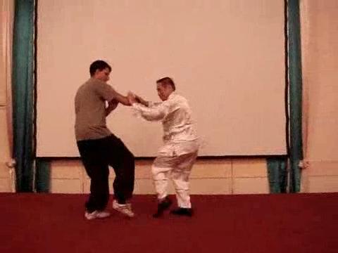 Wahnam Taijiquan