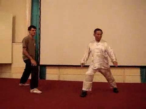 Wahnam Taijiquan