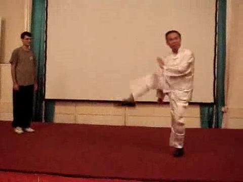 Wahnam Taijiquan