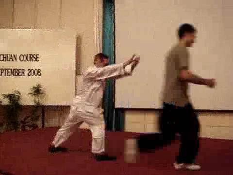 Wahnam Taijiquan