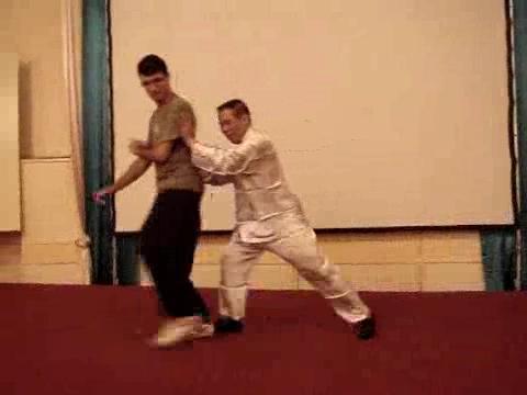 Wahnam Taijiquan