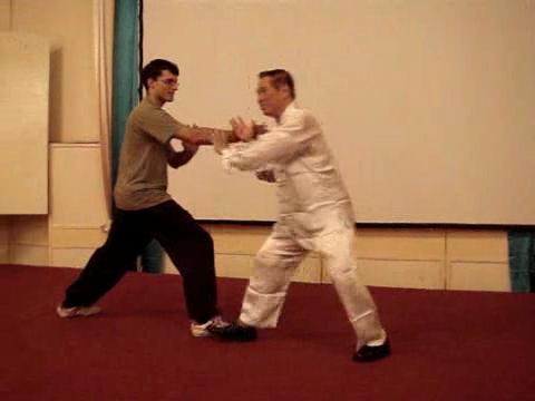 Wahnam Taijiquan