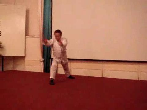 Wahnam Taijiquan