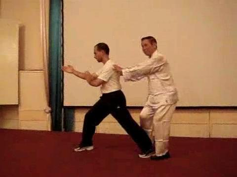 Wahnam Taijiquan