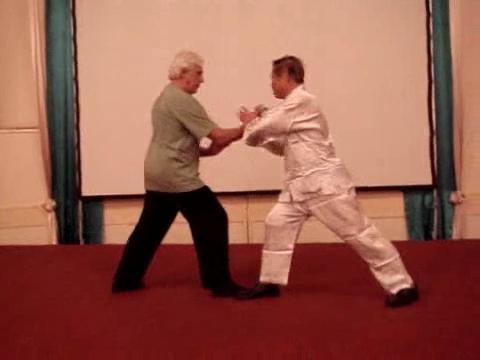 Wahnam Taijiquan