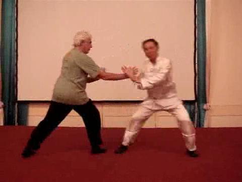 Wahnam Taijiquan, Tai Chi Chuan