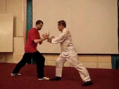 Wahnam Taijiquan