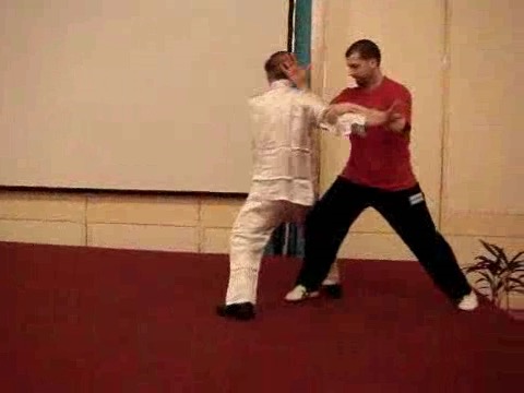 Wahnam Taijiquan